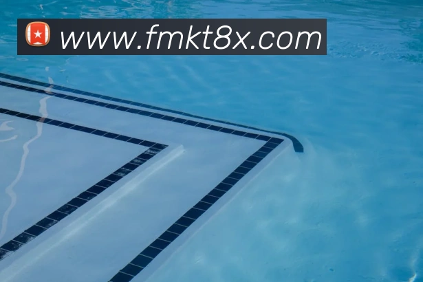 未来规划